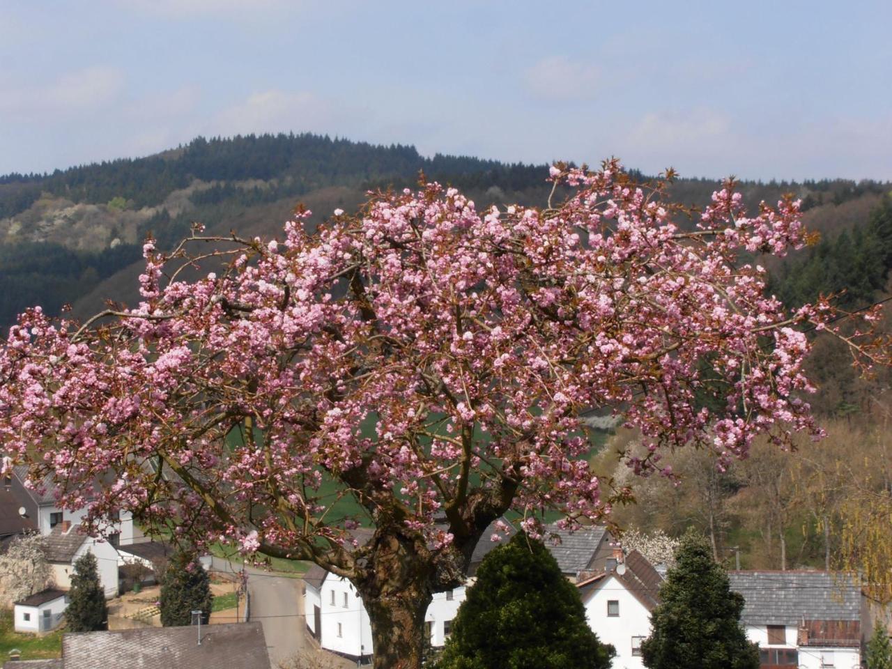 Ferienwohnung-In-Schoenster-Lage Baar  エクステリア 写真